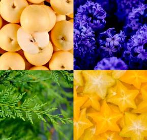 PARFÉM PRO ŽENY CHYPRE COSMIC 50 ml