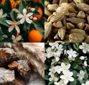 PARFÉM PRO ŽENY NEROLIBEREE 50 ml