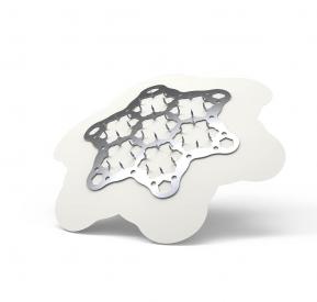 Microneedle patches with bioactive magnesium S